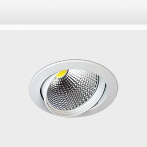 Yönlendirilebilir Downlight